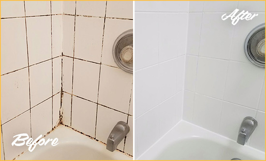 Before and After Picture of a Turnersburg Shower Tile and Grout Cleaned to Eliminate Mold
