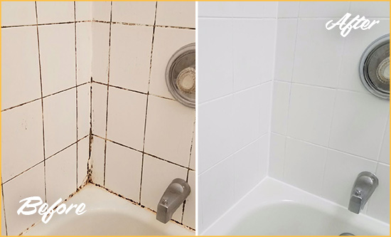 Before and After Picture of a Kannapolis Shower Tile and Grout Cleaned to Eliminate Mold